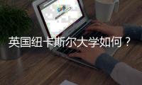 英国纽卡斯尔大学如何？