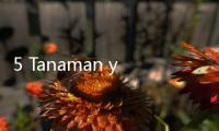5 Tanaman yang Mengundang Ular, Jangan Ditanam di Rumah Kamu