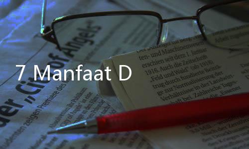 7 Manfaat Daun Kelor: Turunkan Kolesterol sampai Berat Badan