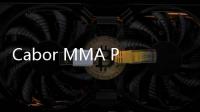 Cabor MMA Potensial Mendunia, Dukungan Pemerintah Diharapkan Lebih Optimal