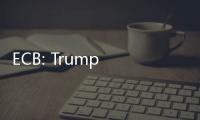 ECB: Trump Sulit Ditebak, Perang Tarif Ancam Stabilitas Sistem Keuangan Global