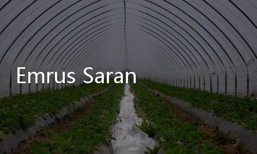 Emrus Sarankan Tak Ada Salahnya Endar Datangi Firli untuk Minta Maaf