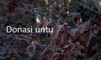 Donasi untuk Guru Ngaji yang Rawat Anak Disabilitas via Berbuatbaik