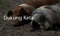 Dukung Ketahanan Gizi, Kadin Jalin Kerjasama dengan Industri Susu AS
