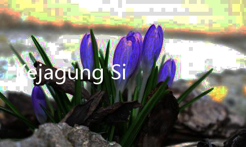 Kejagung Sita 2 Mobil Harvey Moeis dalam Kasus Korupsi PT Timah Tbk
