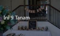 Ini 9 Tanaman Hias Pembawa Keberuntungan Menurut Feng Shui