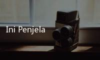 Ini Penjelasan Kenapa Paspor Indonesia Berwarna Hijau