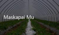 Maskapai Mulai Pakai AI untuk Kurangi Delay Penerbangan
