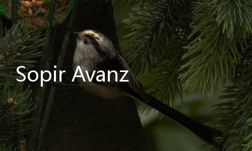 Sopir Avanza Diperiksa Pasca Kecelakaan Cipali yang Tewaskan Korban