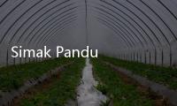 Simak Panduan Cara Cek NIP PPPK dan CPNS 2025 Lewat ASN Digital BKN