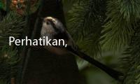 Perhatikan, Ini Cara Tepat Menghangatkan Piza agar Renyah Seperti Baru